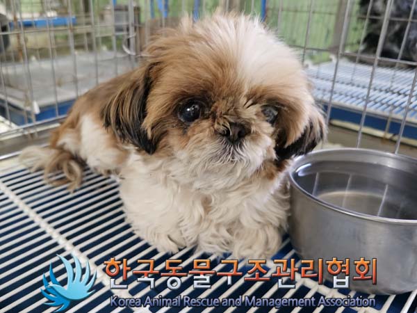 한국동물구조관리협회_441414202300372